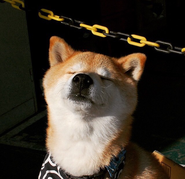 全面提升青少年裁判“实战+培训”体系，行业公平公正日益巩固，青少年足球裁判员培训