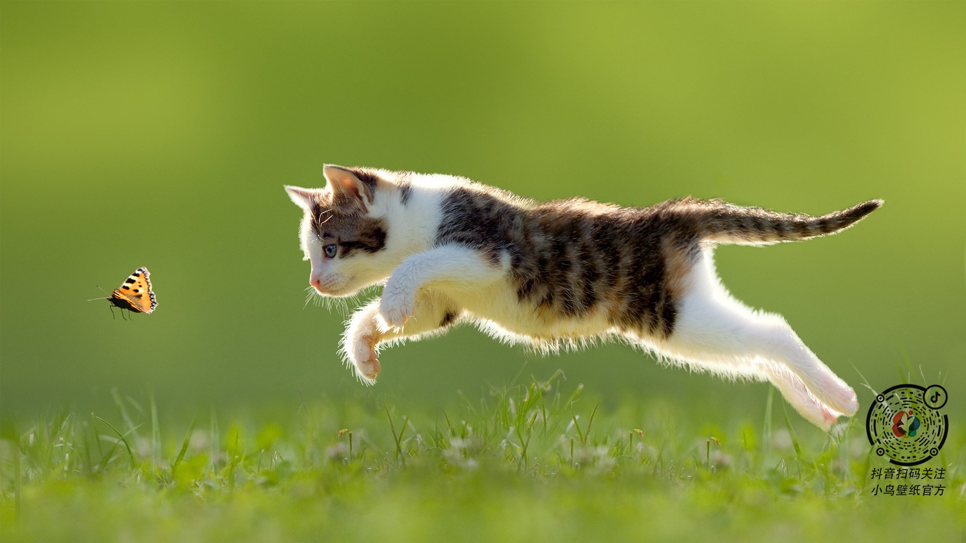 历史冠军：他们那些难忘的夺冠瞬间，历史夺冠训练