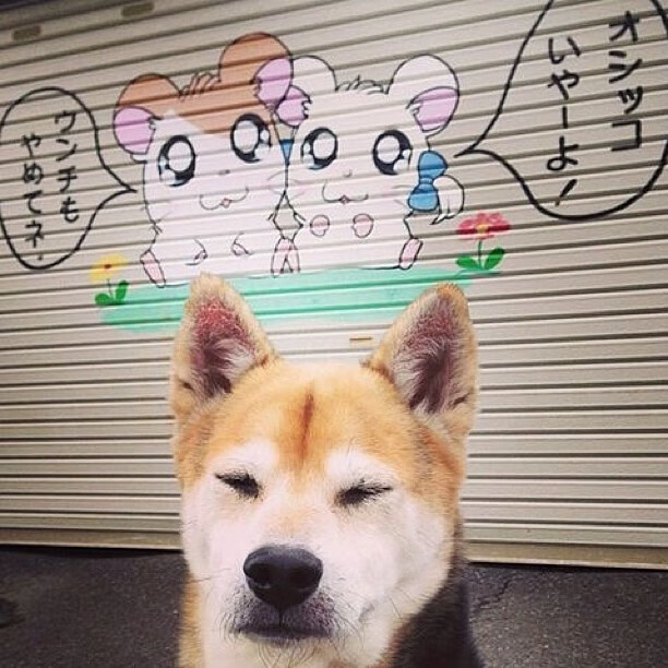 日本门将神扑,守护球队荣誉!,日本队守门员球衣