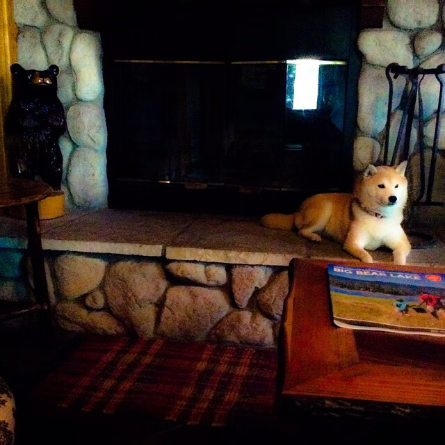 AYX GAMING-明日方舟“未来策略”线下对抗赛精彩纷呈，明日方舟线下挑战