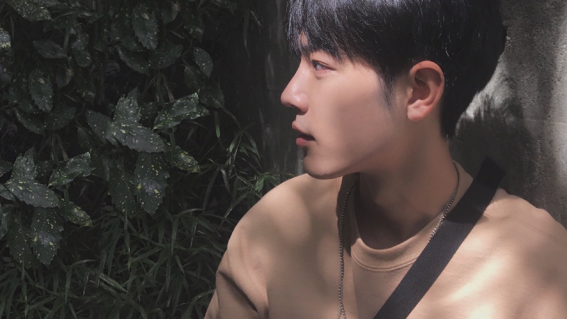 爱游戏体育-明星加盟：新援如何提升球队实力？，加入明星后援会有工资吗