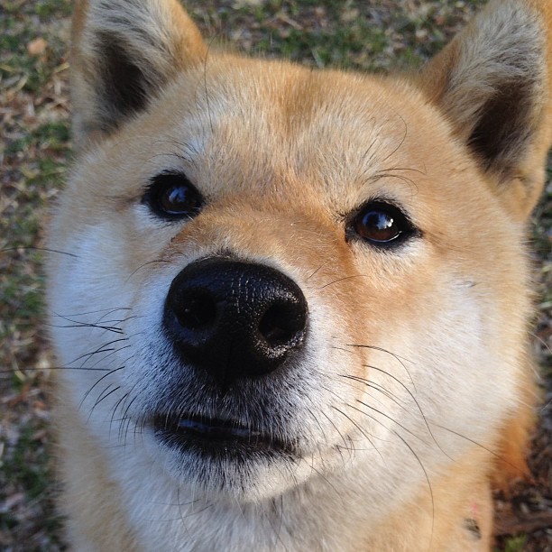 穿越火线 退役选手转型教练表现突出,穿越火线谁退役了