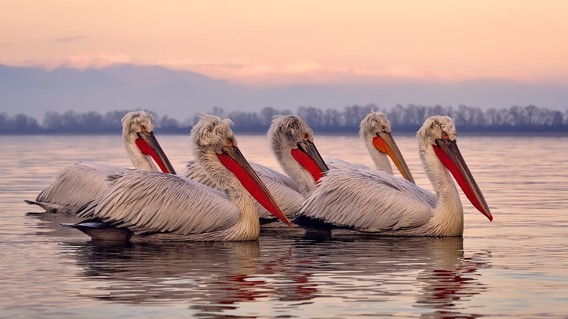 一场平局比赛揭开了积分榜新格局,分析积分榜平一场比负一场多得多少分