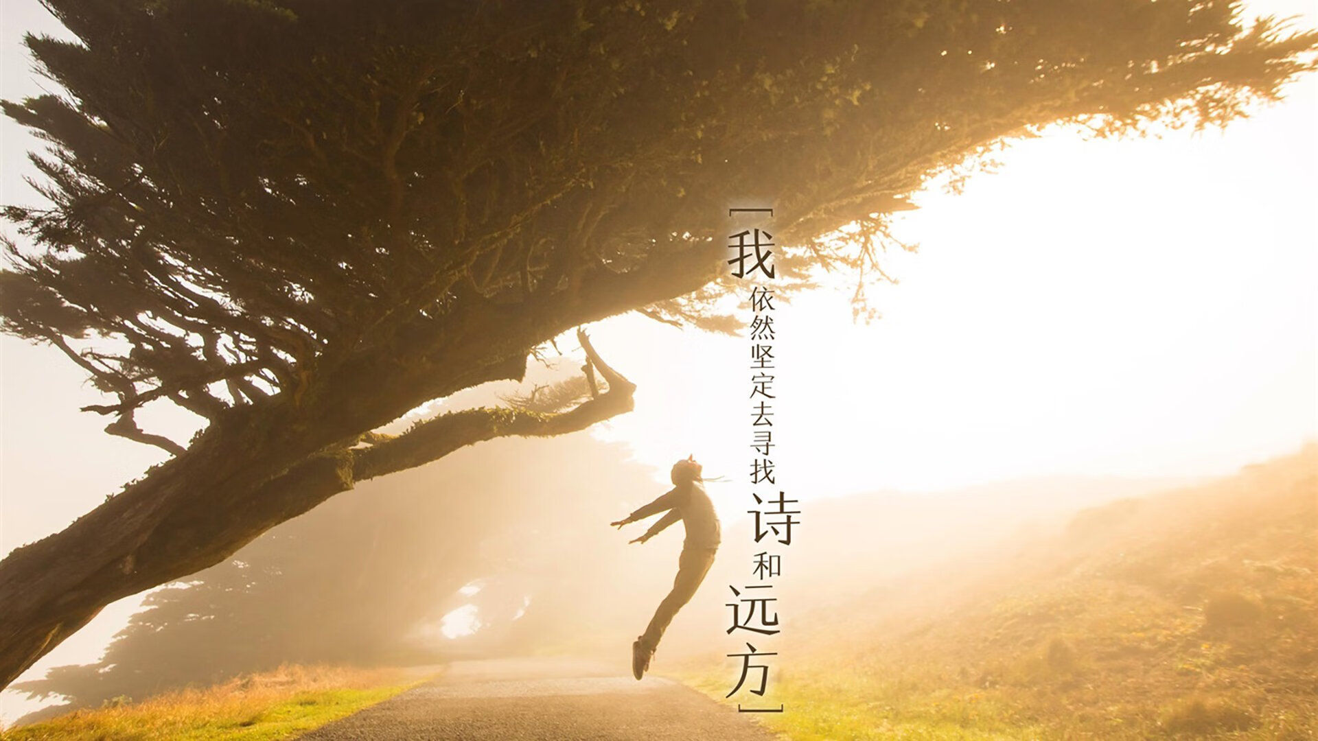 上海久事替补球员表现超预期，今年上海久事篮球队队员名单