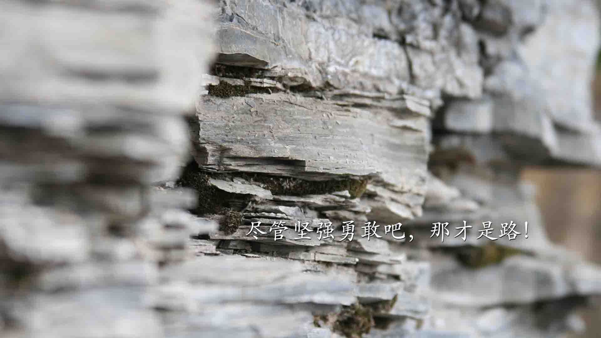 公牛击败尼克斯，常规赛巅峰对决中德罗赞罚球绝杀，公牛德里克罗斯图片