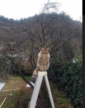 AYX官网-内蒙古男篮全队拼尽全力，力争冲出重围！，内蒙古篮球联赛