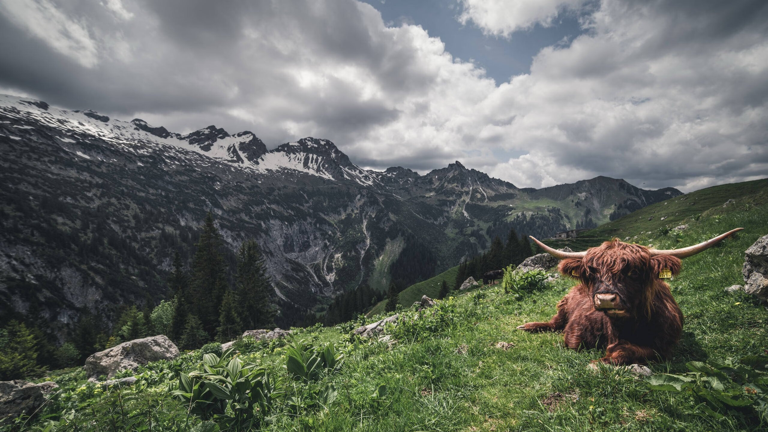 爱游戏体育（AYX）官方APP下载-国家队篮球心理素质训练体系，篮球心里训练的重要性