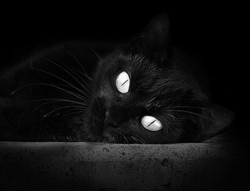 CBA球员合同管理为何不公开透明,cba签约合同