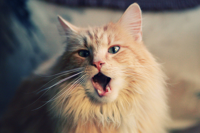 国际热身赛国足战平 球员状态逐渐回暖，国足热身赛时间安排